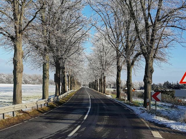 2020 gingen die Emissionen des Verkehrs deutlich zurück - Bild 1