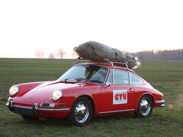 Ratgeber: Den Weihnachtsbaum froh und munter nach Hause bringen - Bild 1