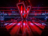 Seat ist wieder Partner von „The Voice Kids“ - Bild 3