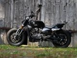 Vorschau: Der Vatikan fährt Topolino, Benelli Bobber und Geely Starray - Bild 4