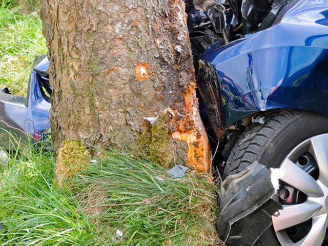 Zahl der Verkehrstoten ist in diesem Jahr wieder gestiegen - Bild 1