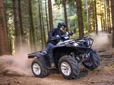 Yamahas Bär wird 25