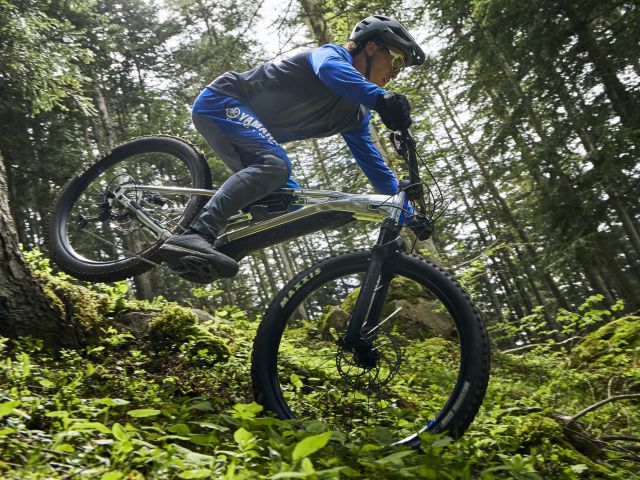 Yamaha feiert seine Pedelec-Pioniertat - Bild 1