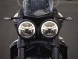 Triumph facht den Sturm weiter an - Bild 10