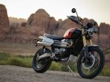 Triumph sortiert die Scrambler 1200 neu - Bild 12