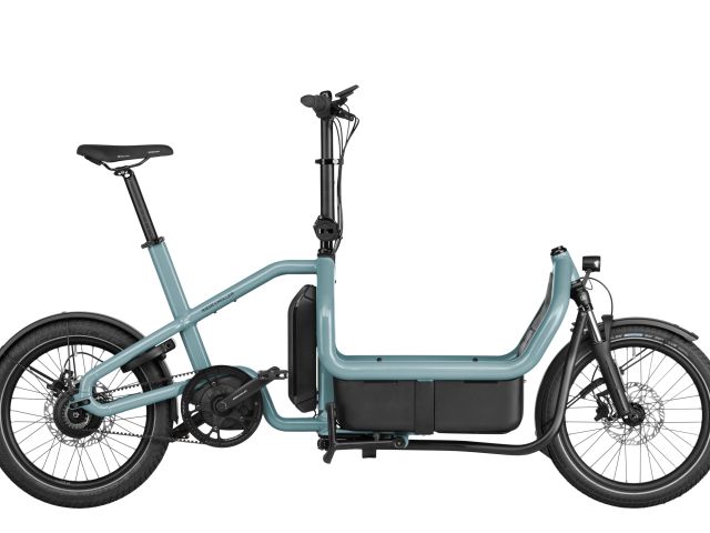 Flexibles Lastenrad von Riese 