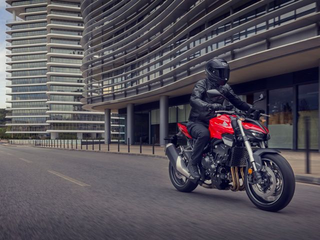 Die Hornisse sticht auch mit 1000 Kubik - Bild 1