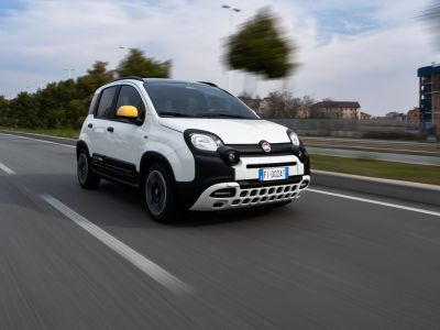 Der Fiat Pandina kann bestellt werden