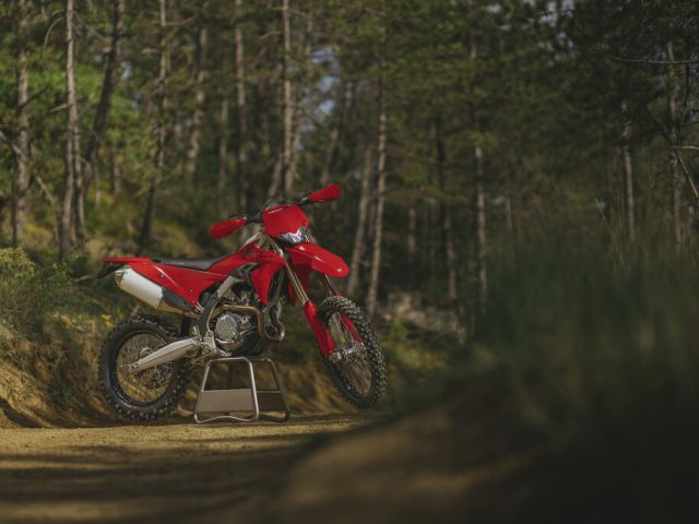 Ducatis erste Enduro  - Bild 1