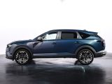 Dacia Striker: Kombi-Angriff in der Kompaktklasse - Bild 18