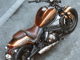 QJ Motor bringt die SRV 550 ST nach Europa - Bild 3