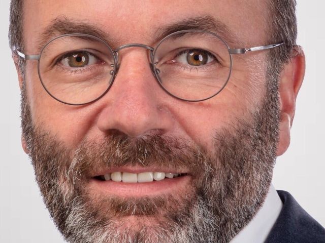 Manfred Weber will das Verbrenner-Verbot der EU kippen - Bild 1