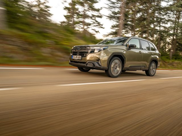 Eine feste Säule im Programm  - Bild 1