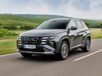 Grün legt zu, Rot verliert