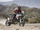 Ducati erneuert die Desert X - Bild 3