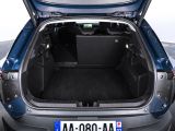 Dacia Striker: Kombi-Angriff in der Kompaktklasse - Bild 42