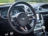 Praxistest Ford Mustang Mach 1: Dieser Hengst bleibt cool - Bild 6
