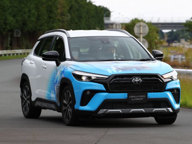 Ein weiterer Weg zum klimafreundlichen Verbrennungsmotor  - Bild 1