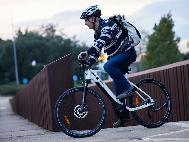 Noch dominiert das Fahrrad ohne E-Unterstützung - Bild 1