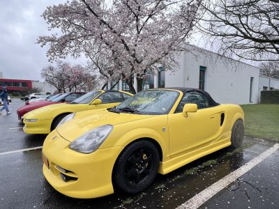 Geburtstagsparty für „Mister Two“