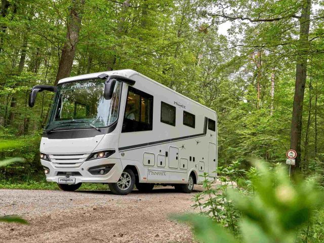 Phoenix kann auch midi - Bild 1