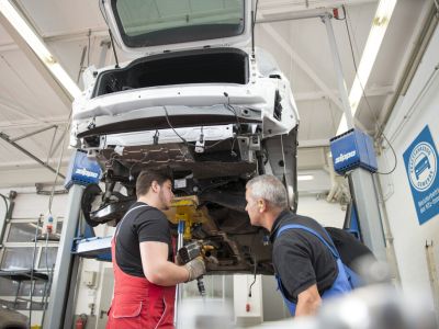 ZDK-Umfrage: Kfz-Gewerbe zwischen E-Schub und Kostendruck