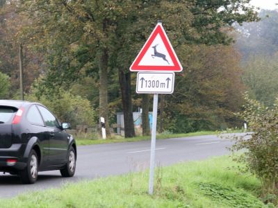 Zeitumstellung: Erhöhtes Risiko für Wildunfälle