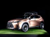 Tokio 2022: Lexus zieht es ins Gelände und in die Luft - Bild 2