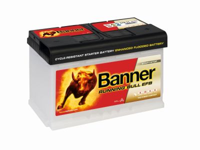 Banner erzielt Rekordumsatz