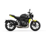 Triumph rührt im Farbtopf - Bild 2