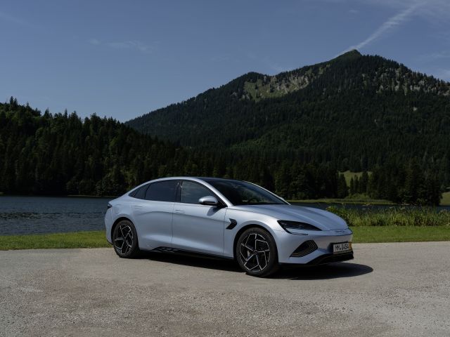 Die Robbe ist los - Bild 1