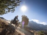 Fahrbericht Triumph Scrambler 1200 X 