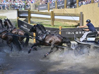 Ineos startet Partnerschaft mit ungarischem Pferdegestüt 