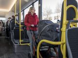 „Das Auto bleibt weiterhin das wichtigste Verkehrsmittel“ - Bild 10