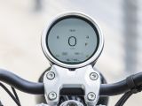 Der Floh bleibt diesmal am Boden - Bild 7
