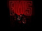 Triumph legt die Bonneville als limitierte Elvis-Edition auf - Bild 9
