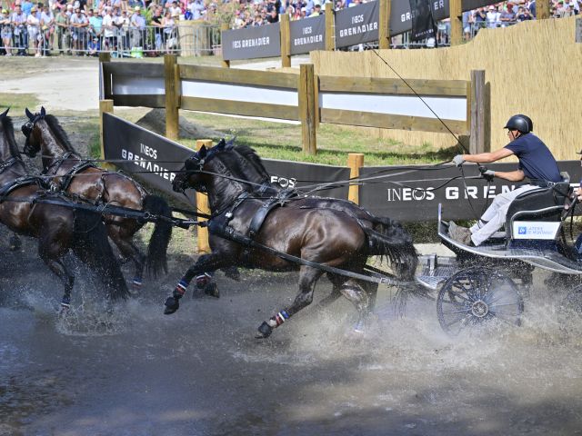 Ineos startet Partnerschaft mit ungarischem Pferdegestüt  - Bild 1