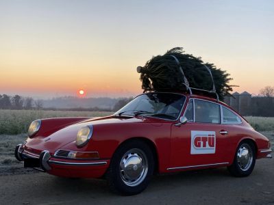 Ratgeber: So kommt der Weihnachtsbaum sicher an