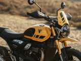 Triumph setzt bei der Scrambler 400 nach - Bild 5