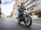 Der Floh bleibt diesmal am Boden - Bild 2