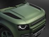 Land Rover taucht den Defender in Grasmere Green - Bild 11