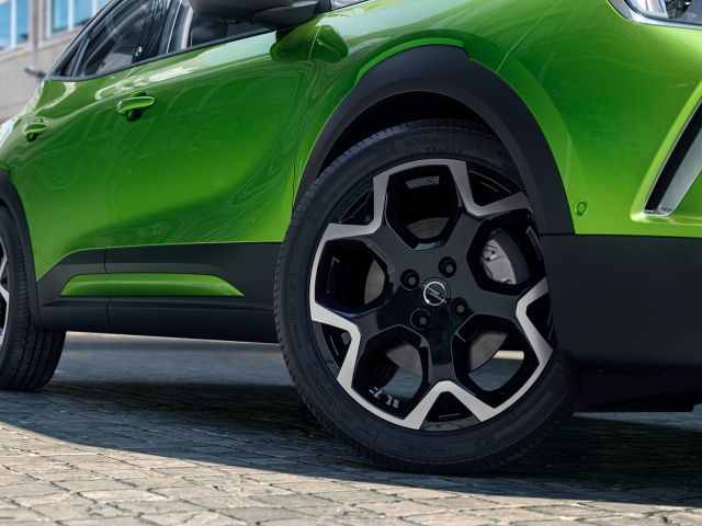 Der Trend geht zu Grün - Bild 1