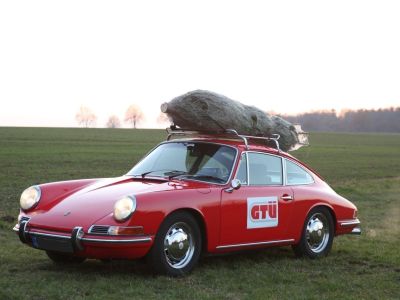 Ratgeber: Den Weihnachtsbaum froh und munter nach Hause bringen