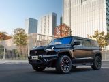 Dongfeng M-Hero 1: Großer lautloser Drache - Bild 3