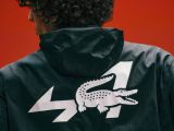 Alpine trägt Lacoste - Bild 14