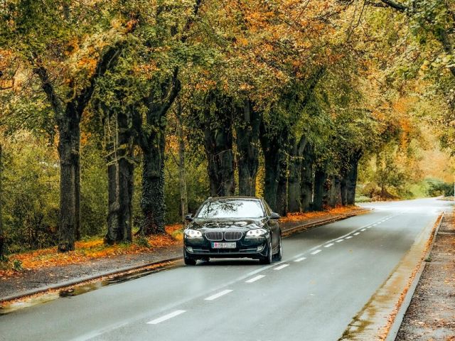 GTÜ: Die Fahrweise dem Herbst anpassen - Bild 1
