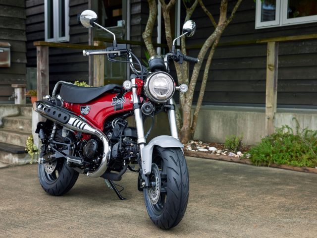 Hondas Dackel kehrt zurück - Bild 1