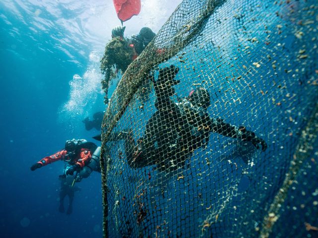 Partnerschaft  für saubere Meere geht ins dritte Jahr - Bild 1