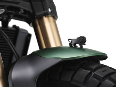 Praxistest: Molto bene, Leoncino