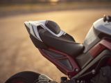 Zwei Sonderauflagen der Triumph Street Triple - Bild 16